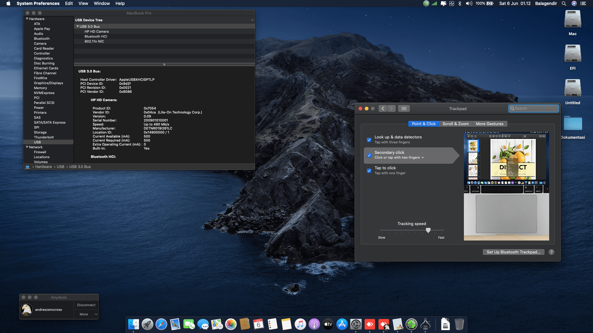 HP Elitebook 840 G3 [SkyLake   Intel HD 520] 3